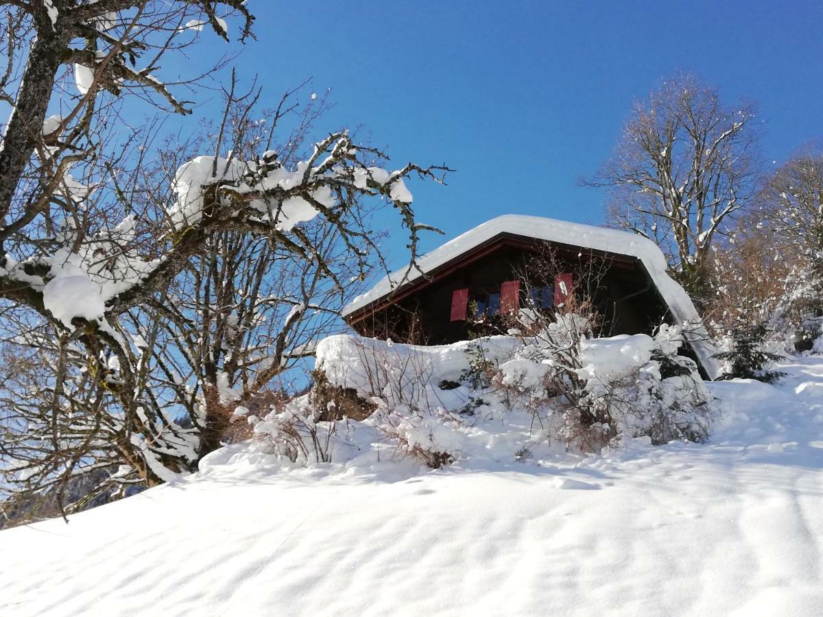 Ferienhaus Schnider Galgenul Dış mekan fotoğraf