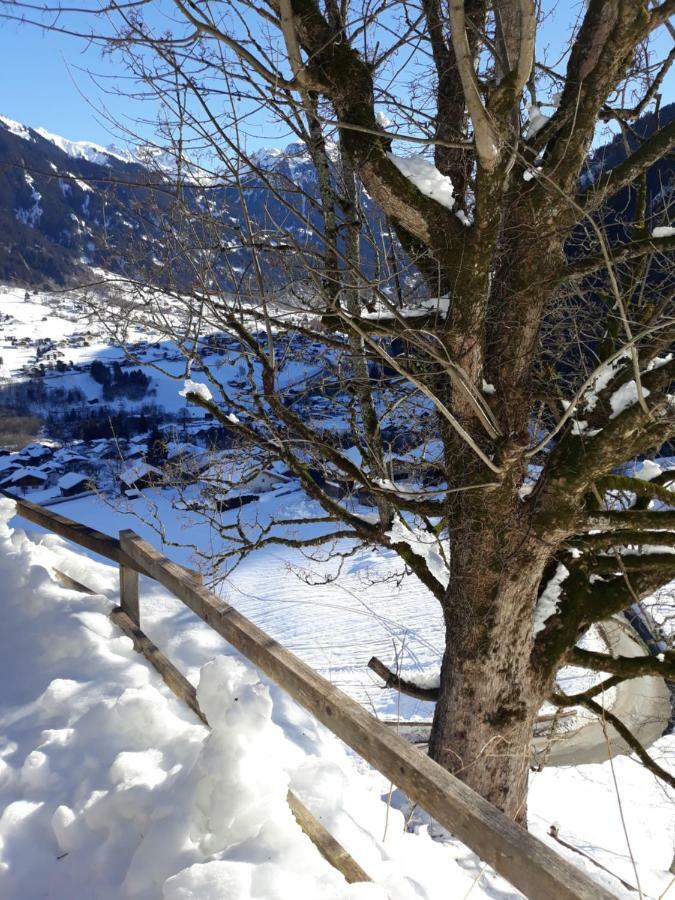 Ferienhaus Schnider Galgenul Dış mekan fotoğraf